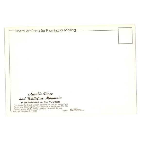 Ausable River Whiteface Mountain Adirondacks Postcard Scenic View Glens Falls NY - Picture 2 of 2